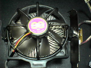 PAP_0051.JPG